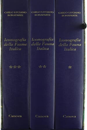 Carlo Luciano Bonaparte. Iconografia della fauna italica per le quattro classi degli Animali Vertebrati