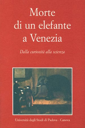 Morte di un elefante a Venezia
