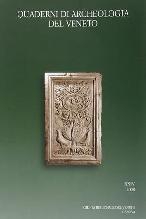 Quaderni di Archeologia del Veneto XXIV 2008